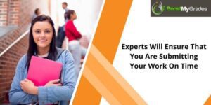 Experts Will Ensure That You Are Submitting Your Work On Time