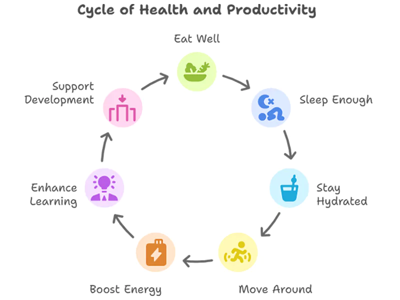 This is a cycle of health and productivity. To maintain energy, eat well and sleep enough.