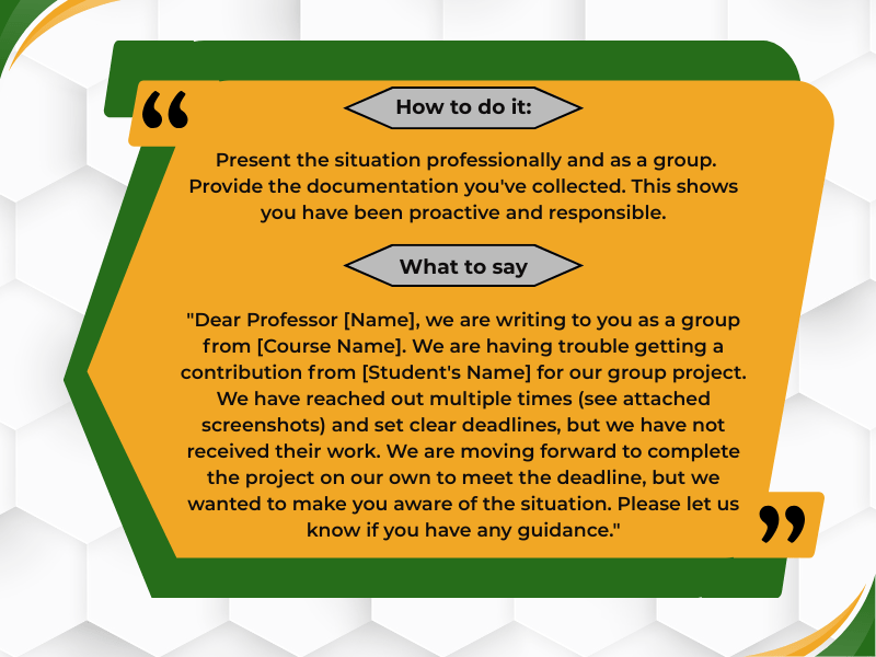 how to ensure everyone contributes to the group project